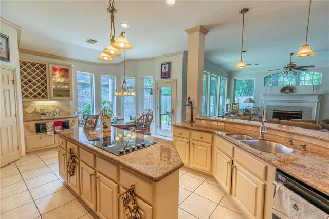 19 Palmer Green Place, Spring, TX 77381