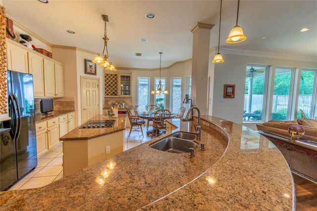 19 Palmer Green Place, Spring, TX 77381