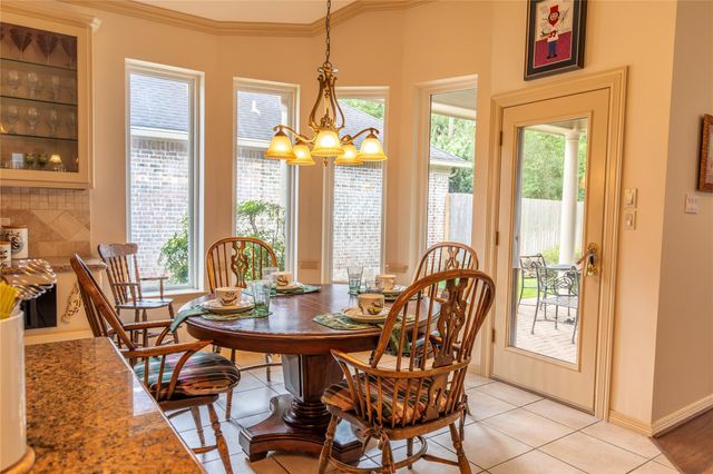 19 Palmer Green Place, Spring, TX 77381
