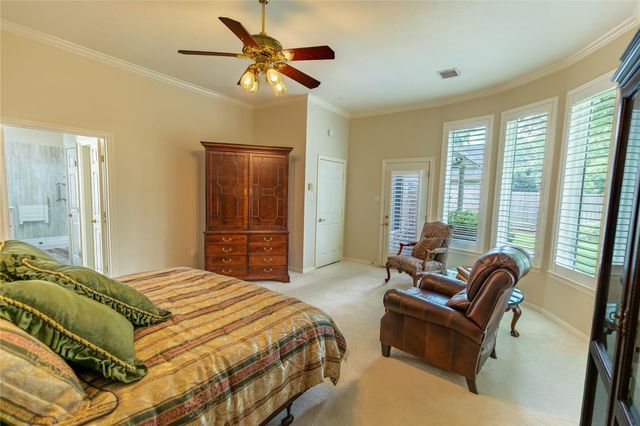 19 Palmer Green Place, Spring, TX 77381