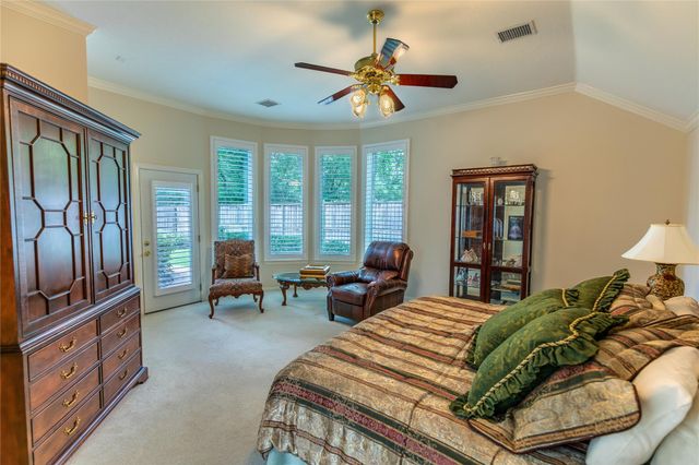 19 Palmer Green Place, Spring, TX 77381