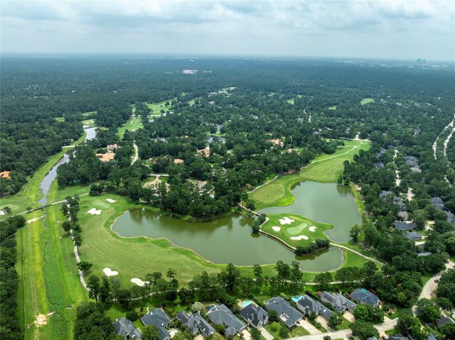 19 Palmer Green Place, Spring, TX 77381