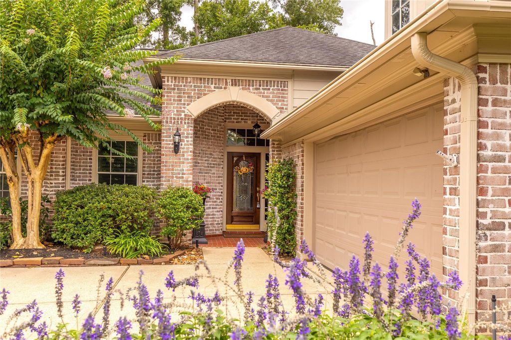 19 Palmer Green Place, Spring, TX 77381