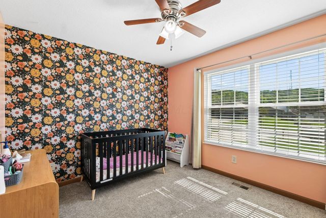 572 Wildflower Drive, Newark, OH 43055