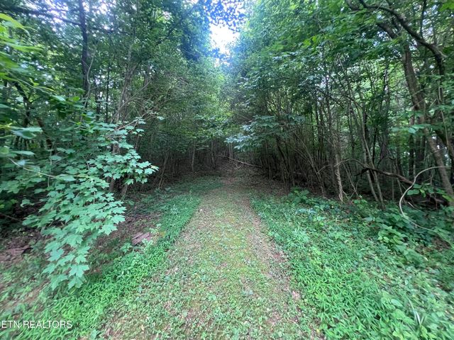 1311 Old Union Rd, Hilham, TN 38568