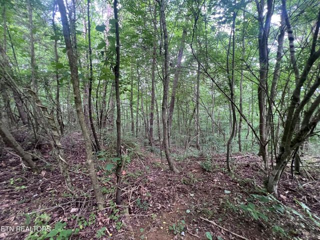 1311 Old Union Rd, Hilham, TN 38568