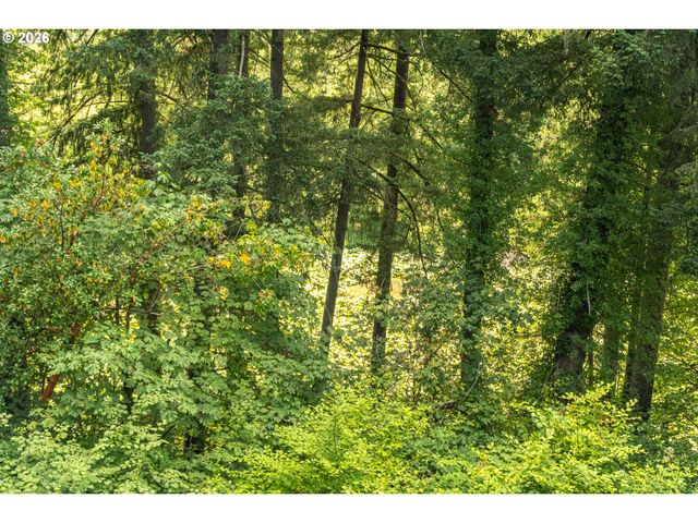 22345 Sw 111TH Ave, Tualatin, OR 97062