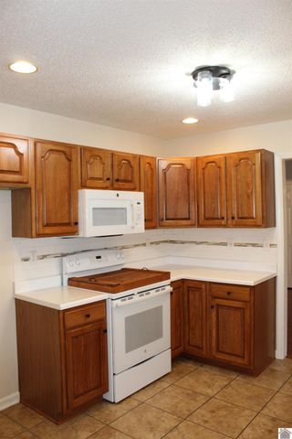 265 Green Oaks lane, Benton, KY 45025