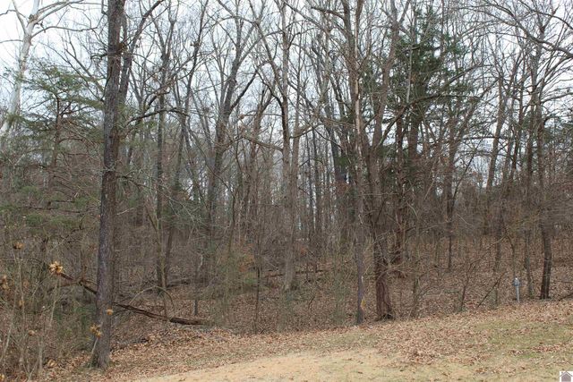 265 Green Oaks lane, Benton, KY 45025