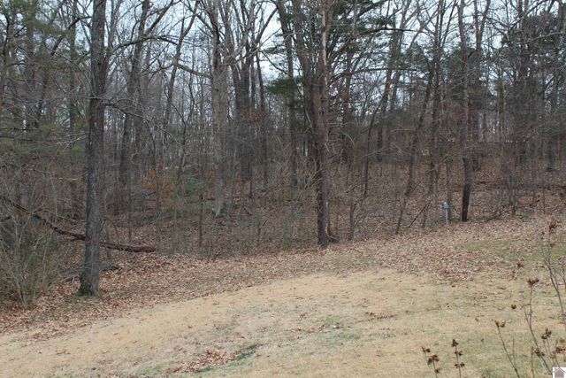 265 Green Oaks lane, Benton, KY 45025