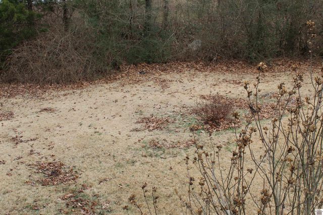 265 Green Oaks lane, Benton, KY 45025