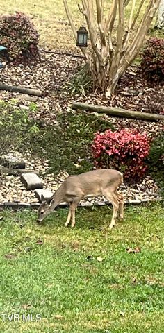 607 Choptack Road, Rogersville, TN 37857