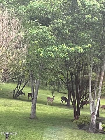 607 Choptack Road, Rogersville, TN 37857