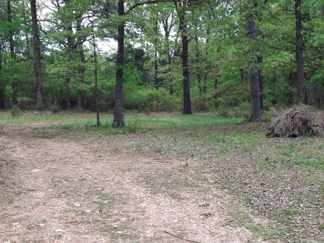 506 Hell Creek Road, Mountain View, AR 72560