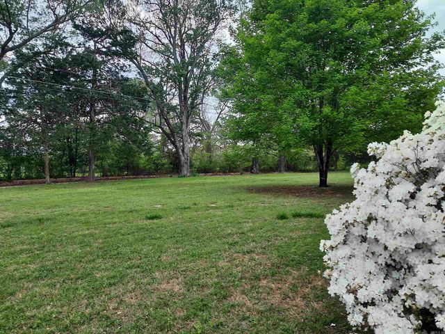 506 Hell Creek Road, Mountain View, AR 72560