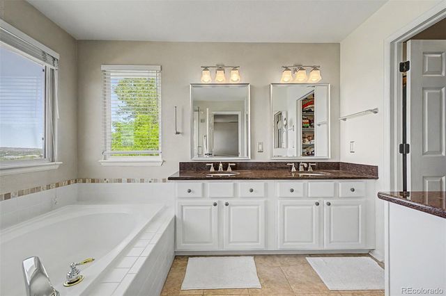 2113 Brierly Court, Castle Rock, CO 80104