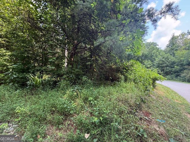 0 Highway 19 N, Dahlonega, GA 30533