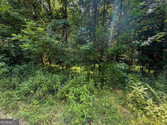 0 Highway 19 N, Dahlonega, GA 30533