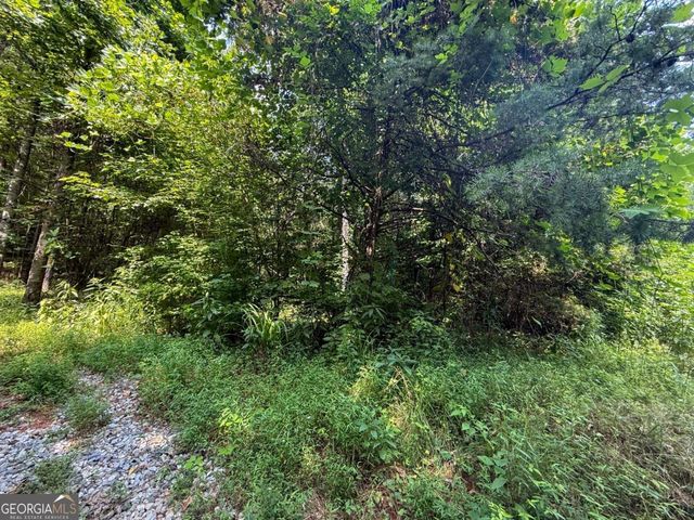 0 Highway 19 N, Dahlonega, GA 30533