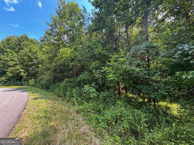 0 Highway 19 N, Dahlonega, GA 30533
