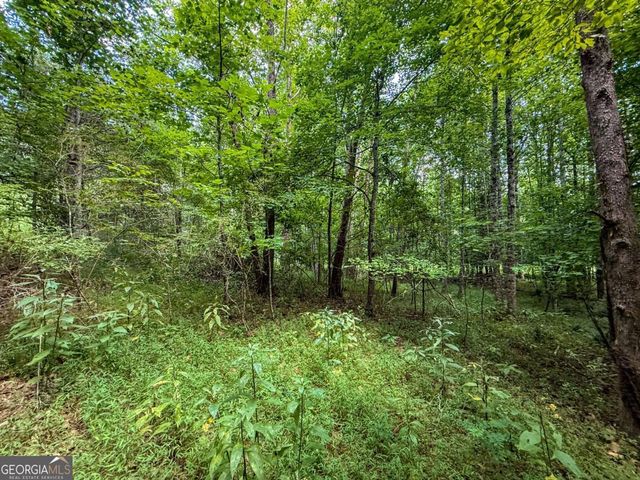 0 Highway 19 N, Dahlonega, GA 30533