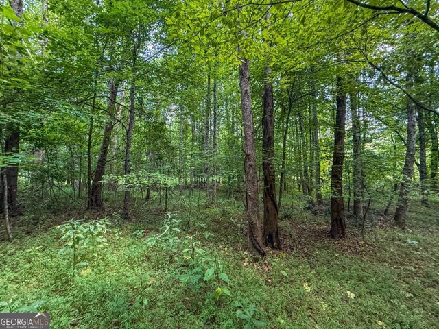 0 Highway 19 N, Dahlonega, GA 30533