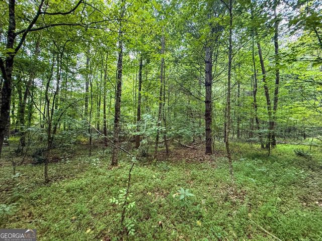 0 Highway 19 N, Dahlonega, GA 30533