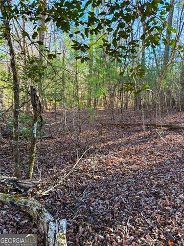 0 Highway 19 N, Dahlonega, GA 30533