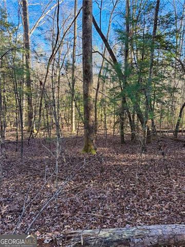 0 Highway 19 N, Dahlonega, GA 30533