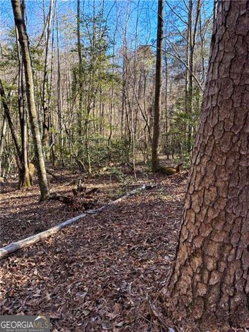 0 Highway 19 N, Dahlonega, GA 30533