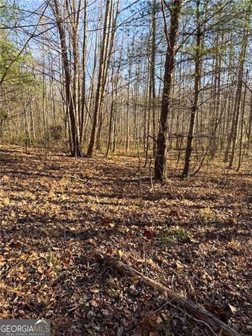 0 Highway 19 N, Dahlonega, GA 30533