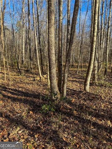 0 Highway 19 N, Dahlonega, GA 30533