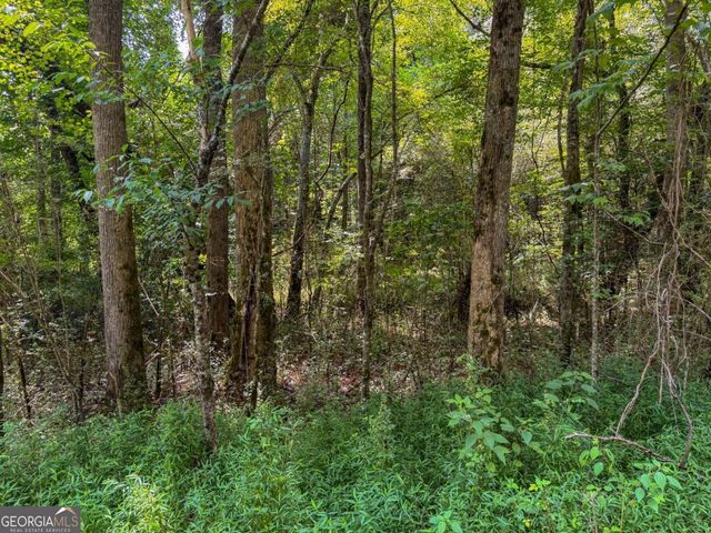 0 Highway 19 N, Dahlonega, GA 30533