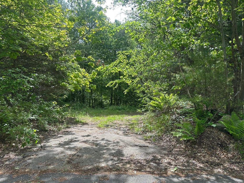 0 Bullard Rd, Oakham, MA 01068