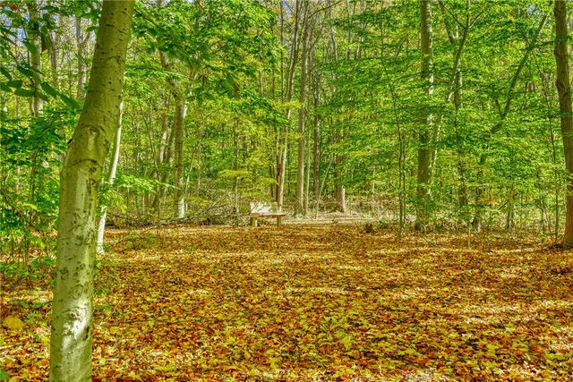 148 Wood Street, Webster, NY 14580