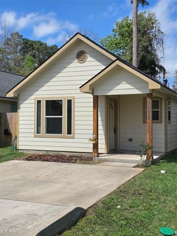 16928 W Ivanhoe, Montgomery, TX 77316