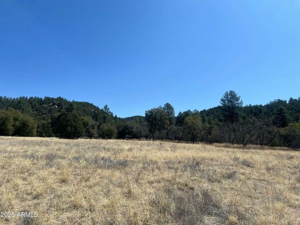 230 E Cline Crossing C1-B, Young, AZ 85554