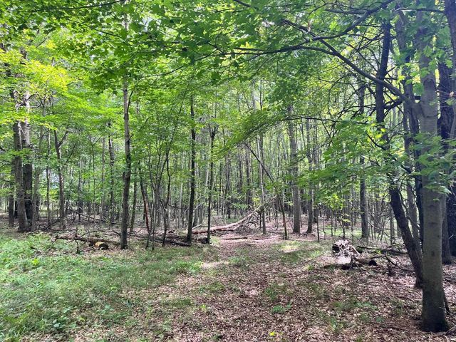 80 Ac County Road G, Hancock, WI 54943