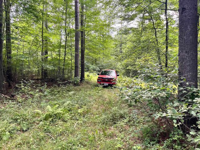 80 Ac County Road G, Hancock, WI 54943