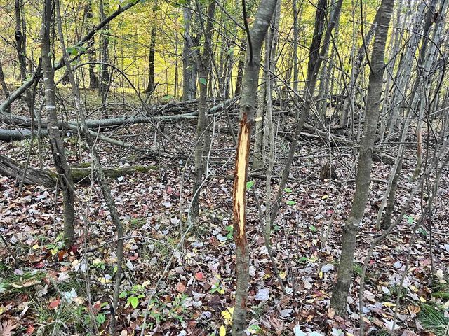 80 Ac County Road G, Hancock, WI 54943