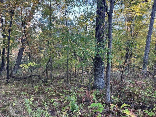 80 Ac County Road G, Hancock, WI 54943