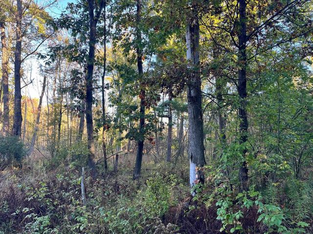 80 Ac County Road G, Hancock, WI 54943