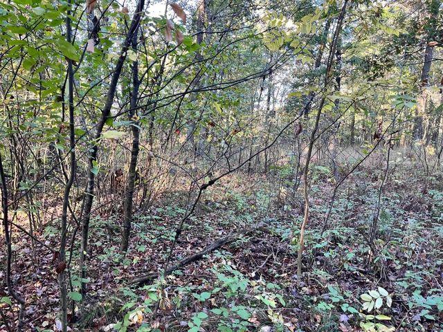 80 Ac County Road G, Hancock, WI 54943