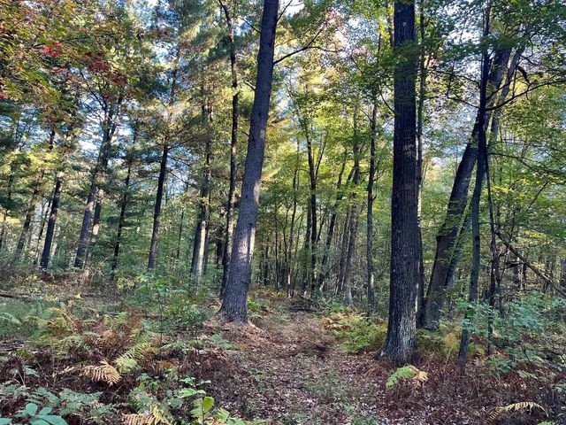 80 Ac County Road G, Hancock, WI 54943