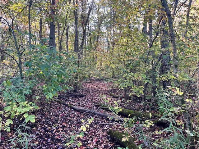 80 Ac County Road G, Hancock, WI 54943