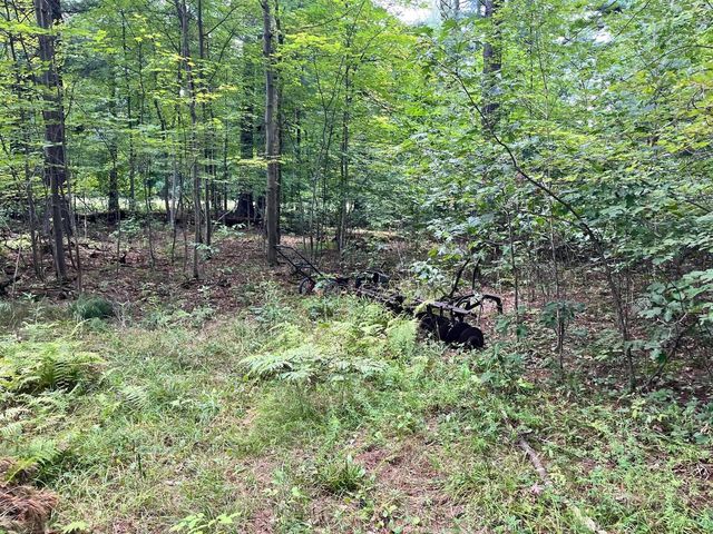 80 Ac County Road G, Hancock, WI 54943