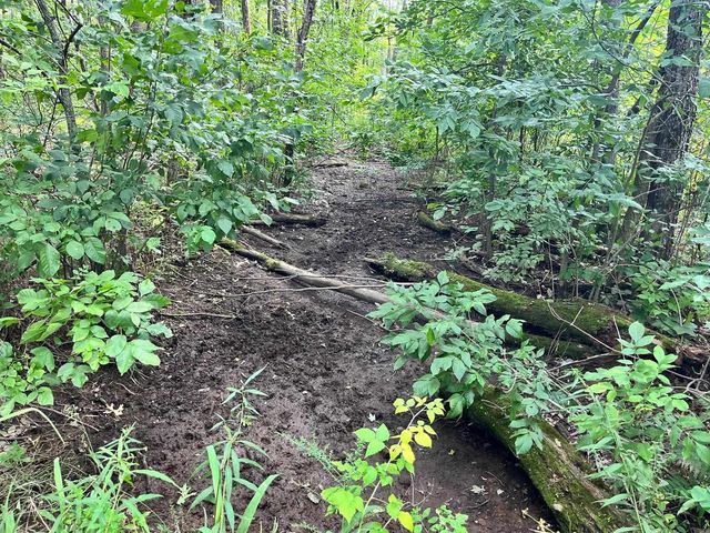 80 Ac County Road G, Hancock, WI 54943