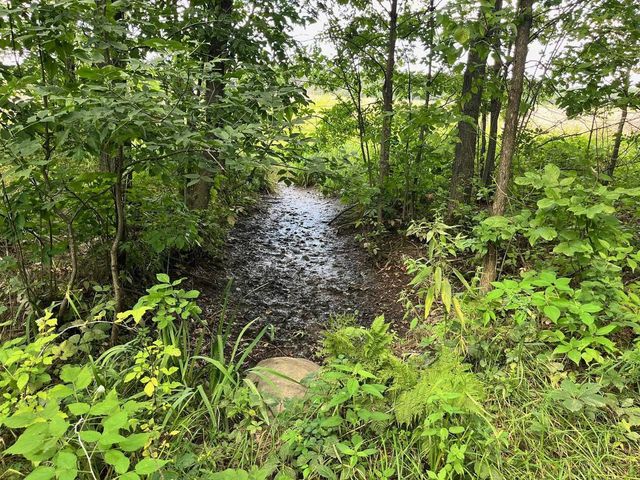 80 Ac County Road G, Hancock, WI 54943