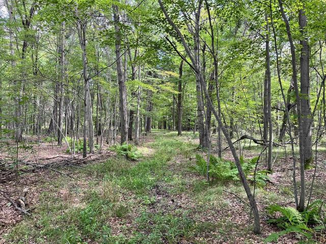 80 Ac County Road G, Hancock, WI 54943