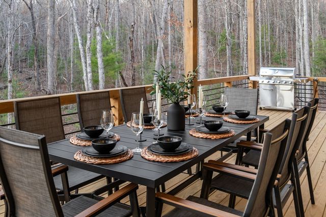 122 Cohutta Overlook Way, Blue Ridge, GA 30513